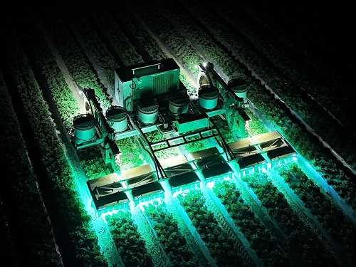 How TRIC Robotics is reducing pesticide use on strawberries using UV light | TechCrunch