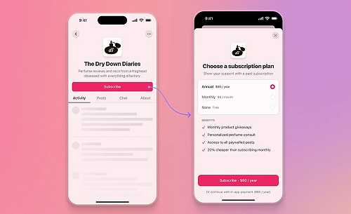Substack writers can now direct US readers to (often cheaper) web-based subscriptions on iOS | TechCrunch