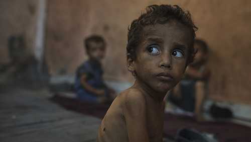 Democrats implore Trump to step up role in addressing suffering and starvation in Gaza