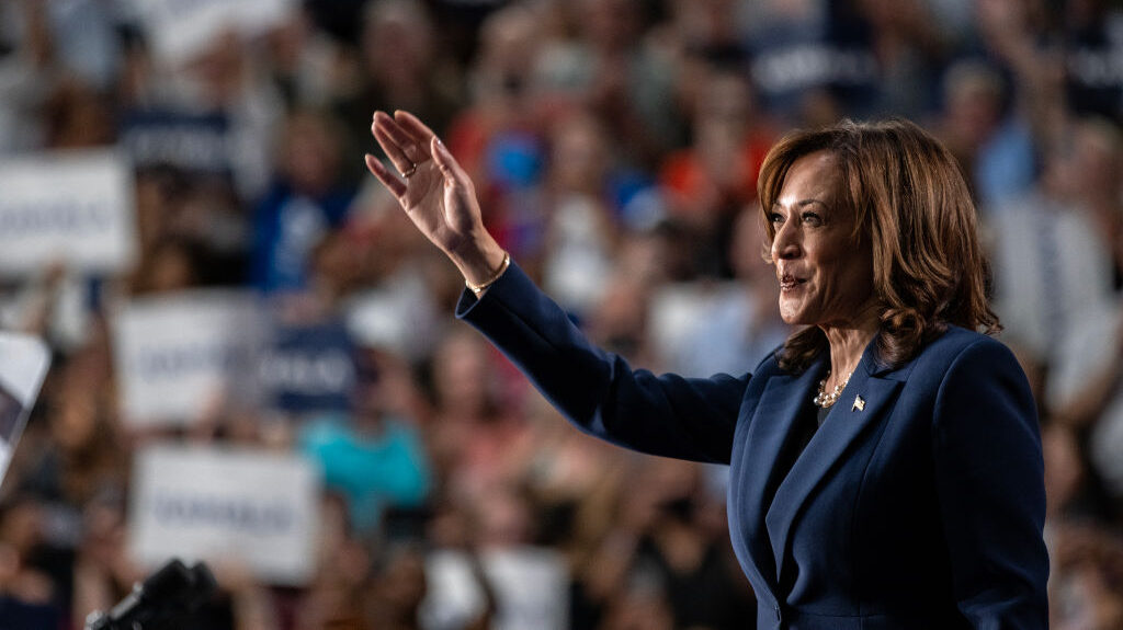 Kamala Harris marks 1-year anniversary of historic presidential campaign as she weighs next move