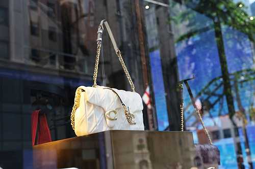 A Black mom shared her "first Coach bag" Christmas story. The internet had thoughts.