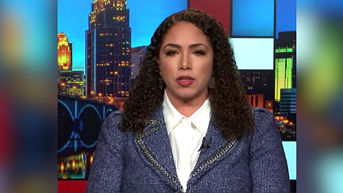 ‘Journalism is not a crime’: Georgia Fort calls out ‘strategic attack on the free press