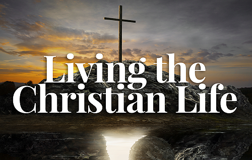 Devout Christians: The Burden of Truth - What It Really Means to Live as a Christian.