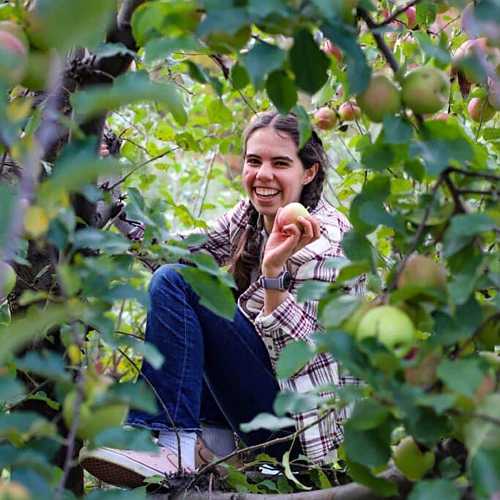 Goal-Setting for Teens: Smart Goals Made Simple