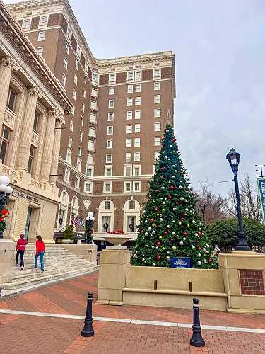 Five on Friday 12.5 - A Healthy Slice of Life