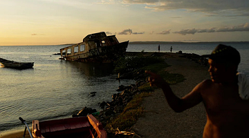 STOP the killers! | Black Agenda Report