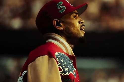 Chris Brown’s Defamation Case Dismissed by Judge - Yall Know What