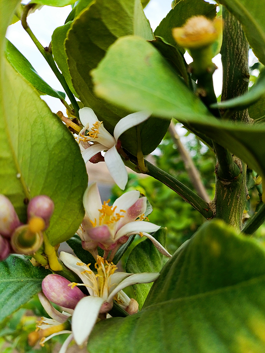 التعب بعد جهاد النفس... اختبار لصبرك وإرادتك عندما...