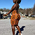 Post: #ILoveBlackWomen