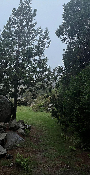 صباح الخير في نهار العيد