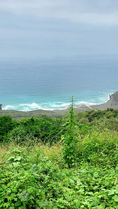 الانعكاسات الخارجية من أقرب الناس انعكاساتنا الزمنية...