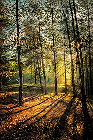 Hello please I need 70,000