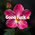 Post: #aigenerated