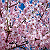 Post: