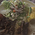 Post: My daughter just cooked steak, corn and a nice salad. #FeelingBlessed