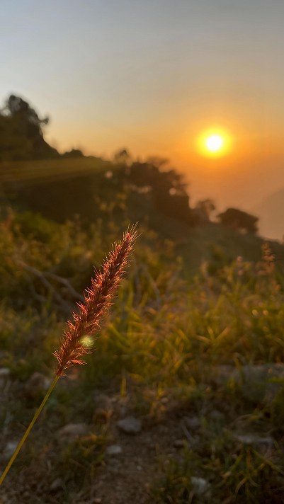 أنا أريد أن أؤكد عدة، أكيد ولا أكثر من هذا، الرجاء...