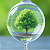 Post: #image