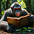 Poetry: Herein lies a jungle library, a green cathedral of leaf and light, where one wise ape, our...