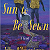 Book Suggestion: A Sun to Be Sewn