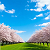 Post: