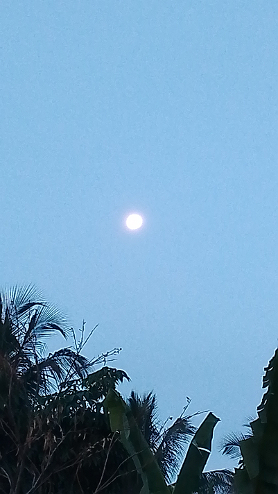 Early morning there was a moon or sun??  #Featured #AppFeed #viral ...
