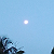 Post: Early morning there was a moon or sun??  #Featured #AppFeed #viral ...