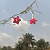 Post: #Featured