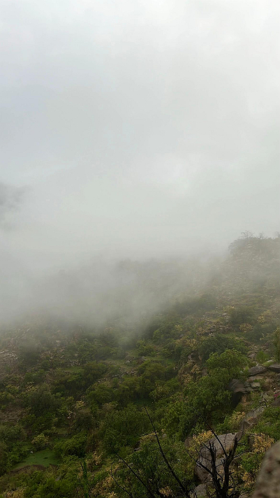 معك تملاني الفرحة وسبقني الضحكات ❣️❣️بوجودك،...