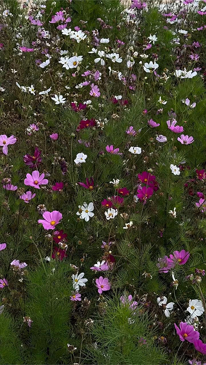 أسوأ ما حدث بعد ذلك هو زيادة القوة في الأمور التي توجد...