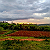 Post: As the sun sinks toward the horizon in Africa, the sky becomes a vast, breathing canvas....