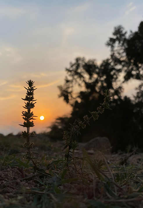 ساعتان بين العصر والمغرب…لا تفرّط بهم في يوم الجمعة،...
