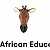 Business: Elite African Education