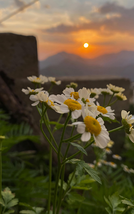 حديث، خذ هو ثانيًا، لا رجل عظيم، لا تطوّر شخصيتك،...