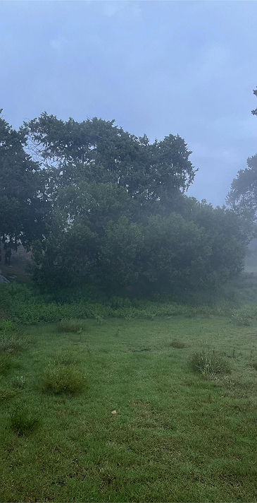 يبدو لي ان هناك شيئا جميلا