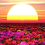 Post: #Featured