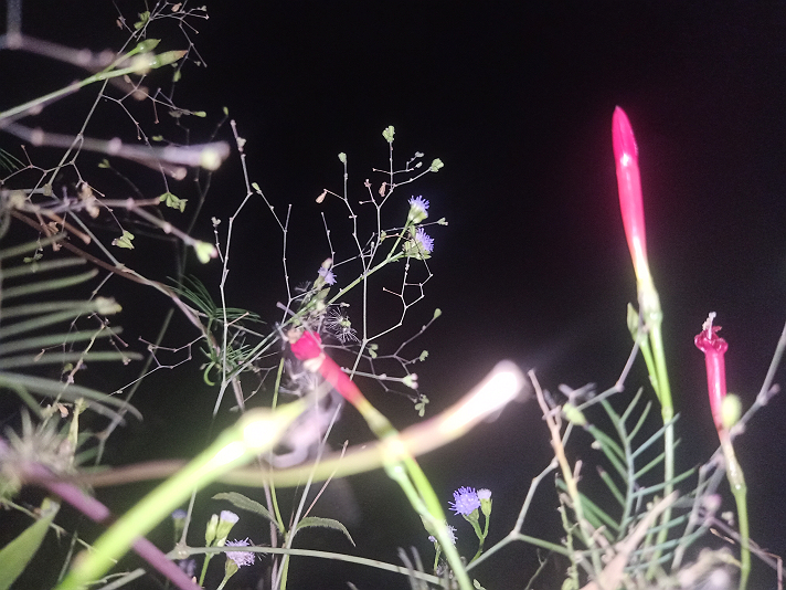 #Featured I know what its takes Nature is my church. Mmiri love you