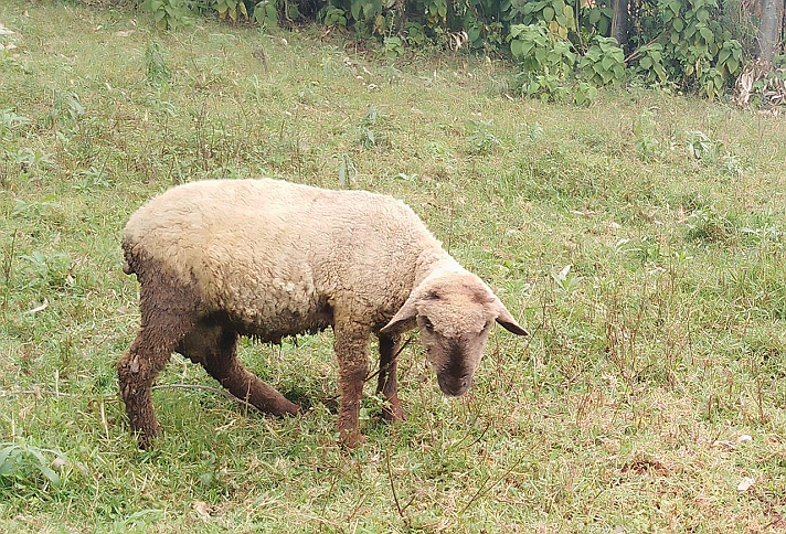 Its xmass...state the price