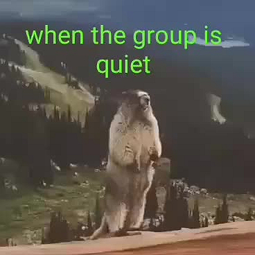50x50