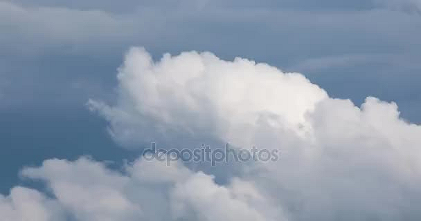 50x50