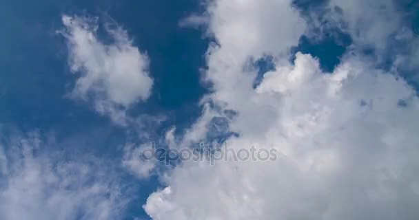 50x50