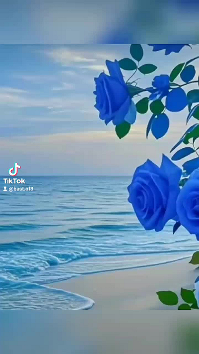 50x50