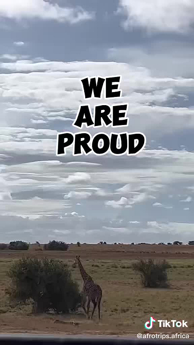 50x50