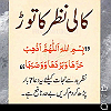 Muhammad Zubair Bashir
