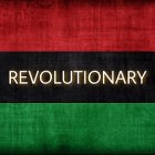 The Revolutionaries