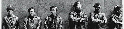 The Revolutionaries