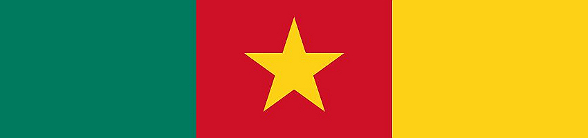 Cameroon Networking Hub